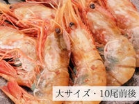 お刺身用子持ち牡丹海老