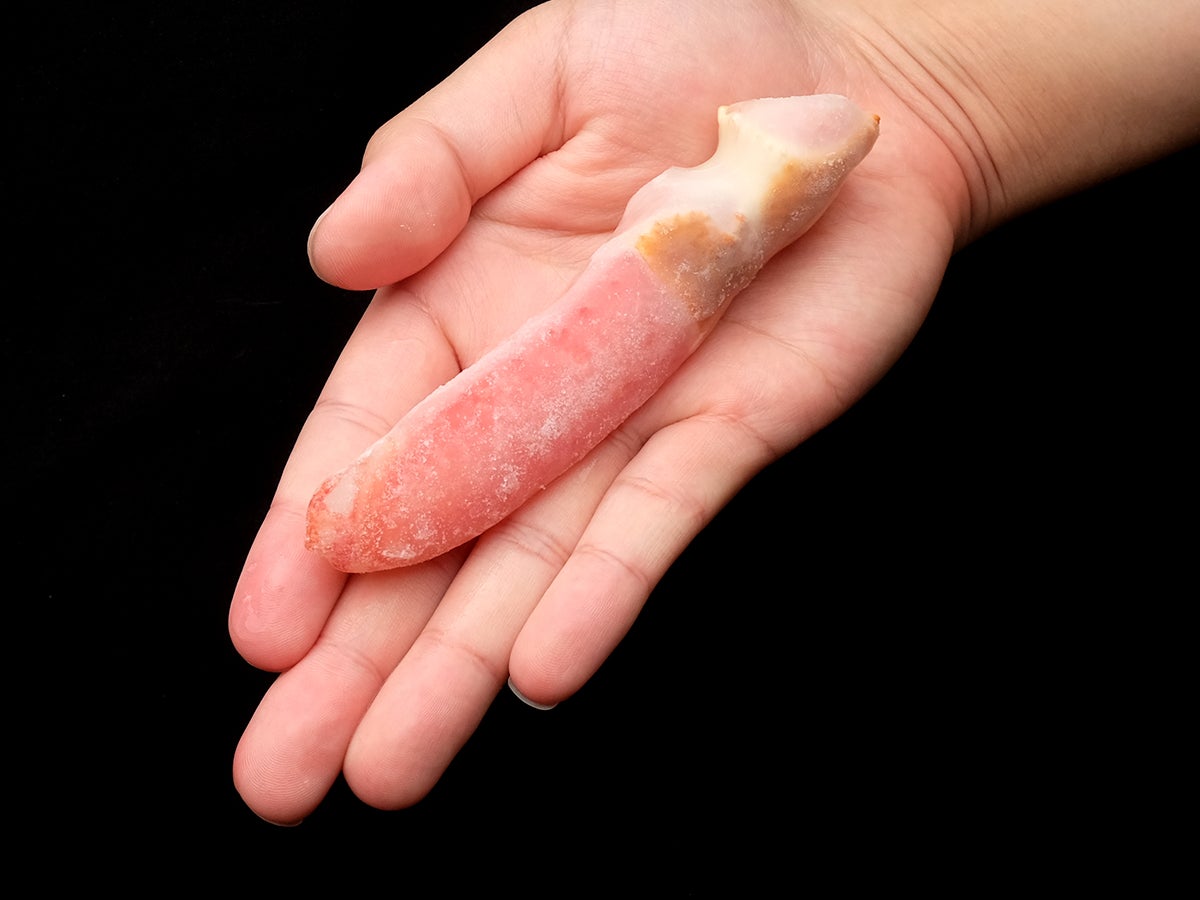  本ずわいがにのツメ元4Lサイズ