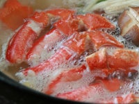  本ずわいがにのツメ元4Lサイズ