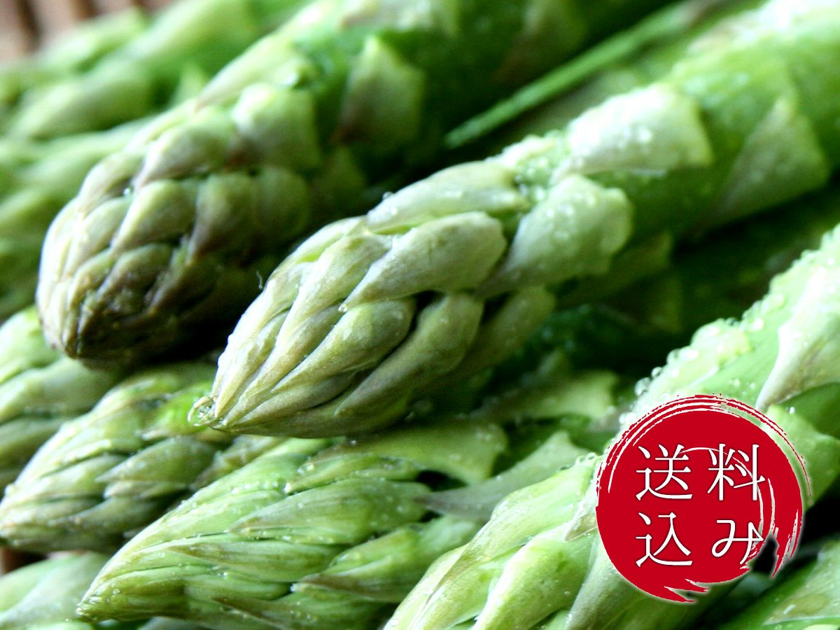送料込】美唄産「春採り」グリーンアスパラ3Lサイズ1kg入(超極太) | か