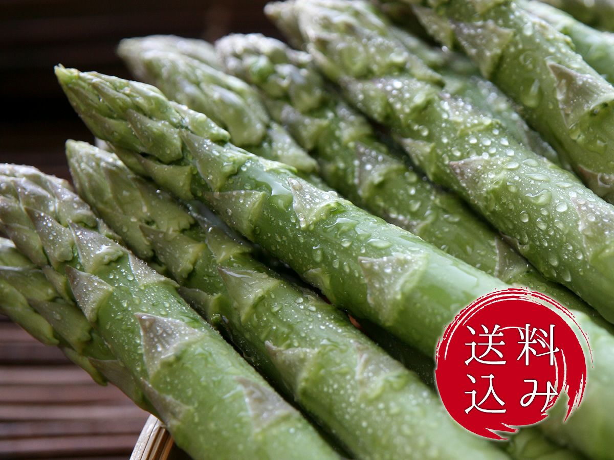 送料込】美唄産「春採り」グリーンアスパラ2Lサイズ2kg入(極太) | かに