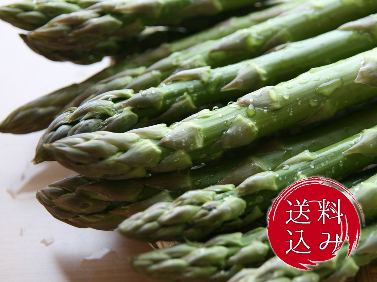 送料込】美唄産「春採り」グリーンアスパラLサイズ1kg入 | かにと言え