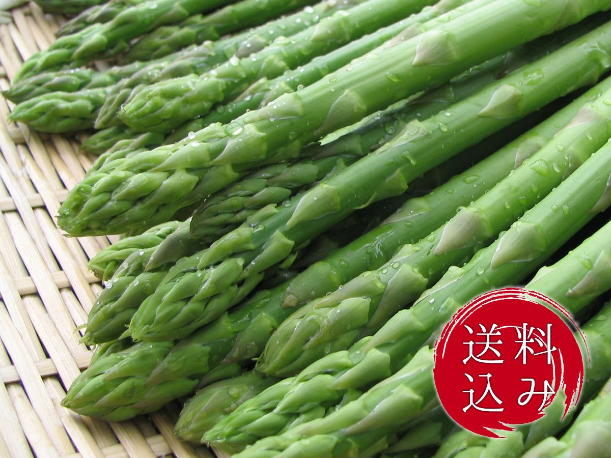 送料込】美唄産「春採り」グリーンアスパラMサイズ1.5kg入 | かにと