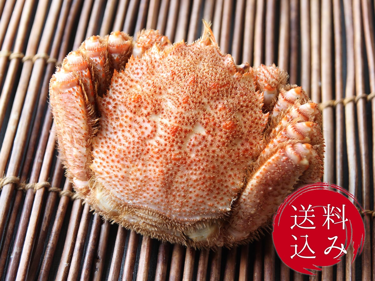 茹で上げ毛ガニ