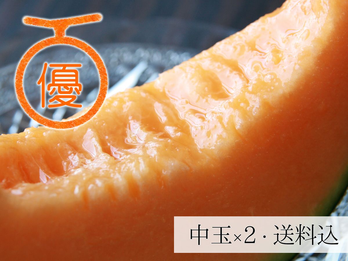 【断捨離中　セール】北海道産夕張メロン個選品×3件分 夕張メロン通販 | 【北海道 北釧水産】JA夕張共撰品を取り扱い