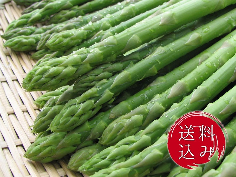 美唄産「夏採り」グリーンアスパラ