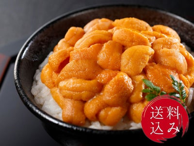 えぞばふん生うに