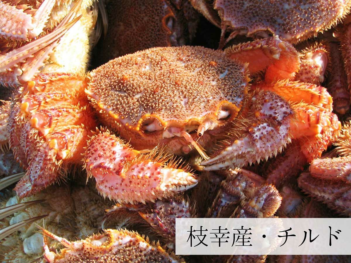 蟹の匠」浜茹で毛がに大中サイズ570g前後(枝幸産/未冷凍) | かにと言え
