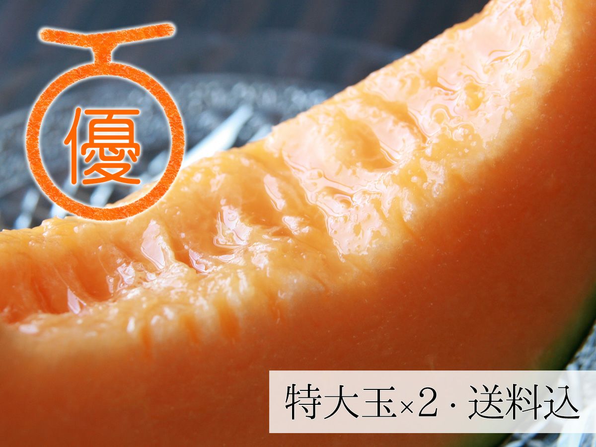 夕張メロン通販 | 【北海道 北釧水産】JA夕張共撰品を取り扱い