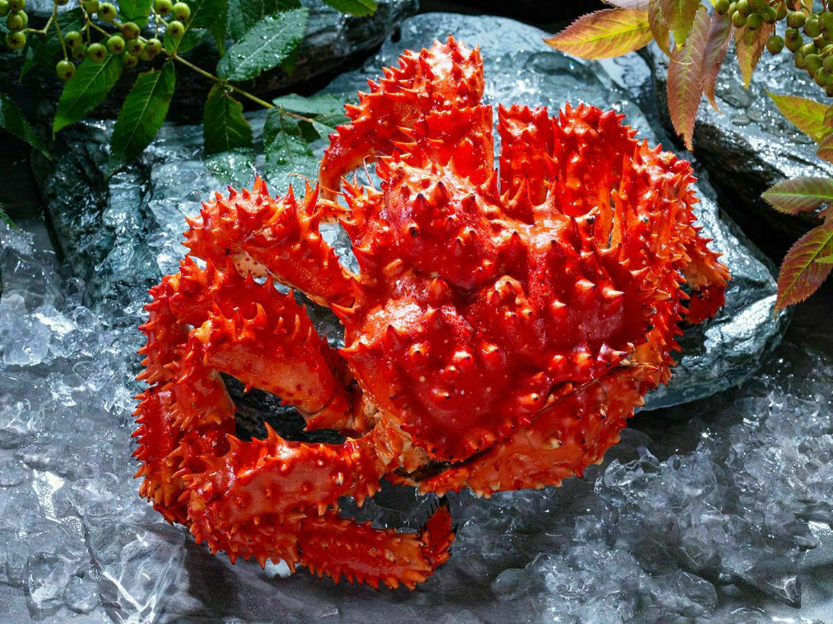 蟹の匠」茹で花咲がに800g前後(急速冷凍) | かにと言えば北海道 北釧水産