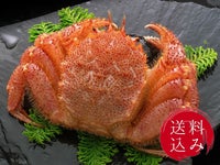 ブランド毛がに「雄武」