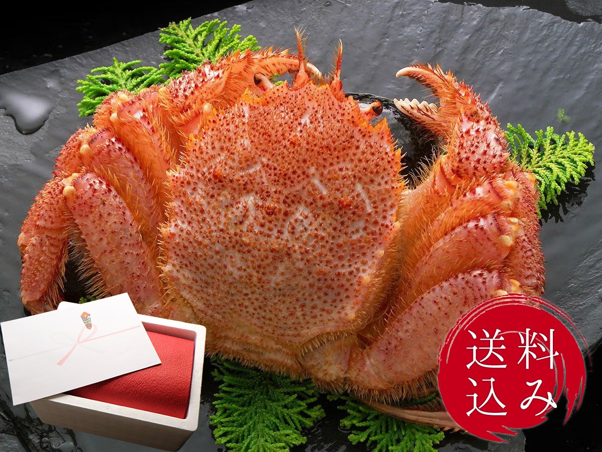  【送料込・和紙掛】ブランド毛がに「雄武」