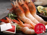 【送料込・和紙掛】お刺身用子持ち牡丹海老特大サイズ