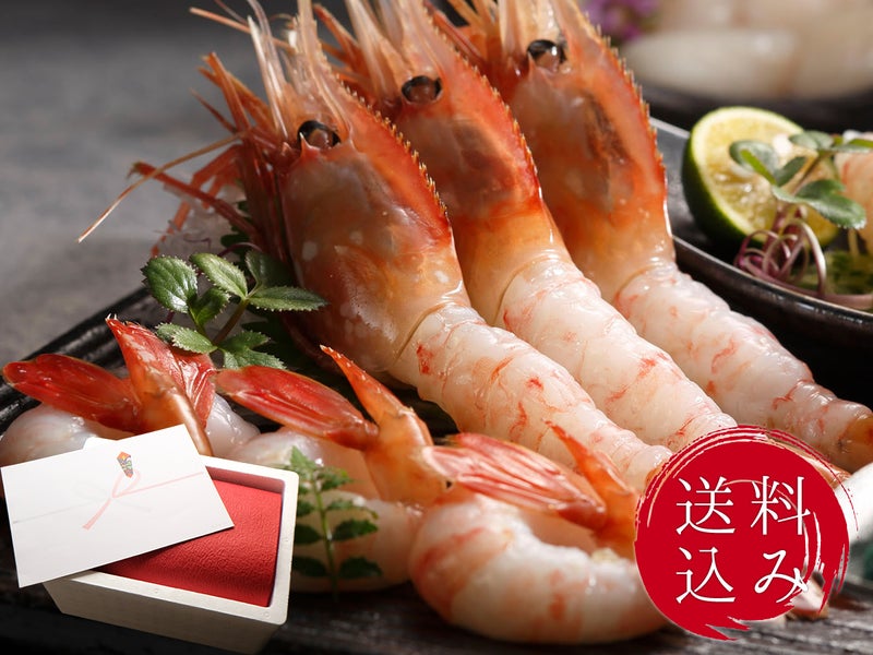 【送料込・和紙掛】お刺身用子持ち牡丹海老特大サイズ