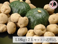 畑正志さんの幌加内産きたあかり