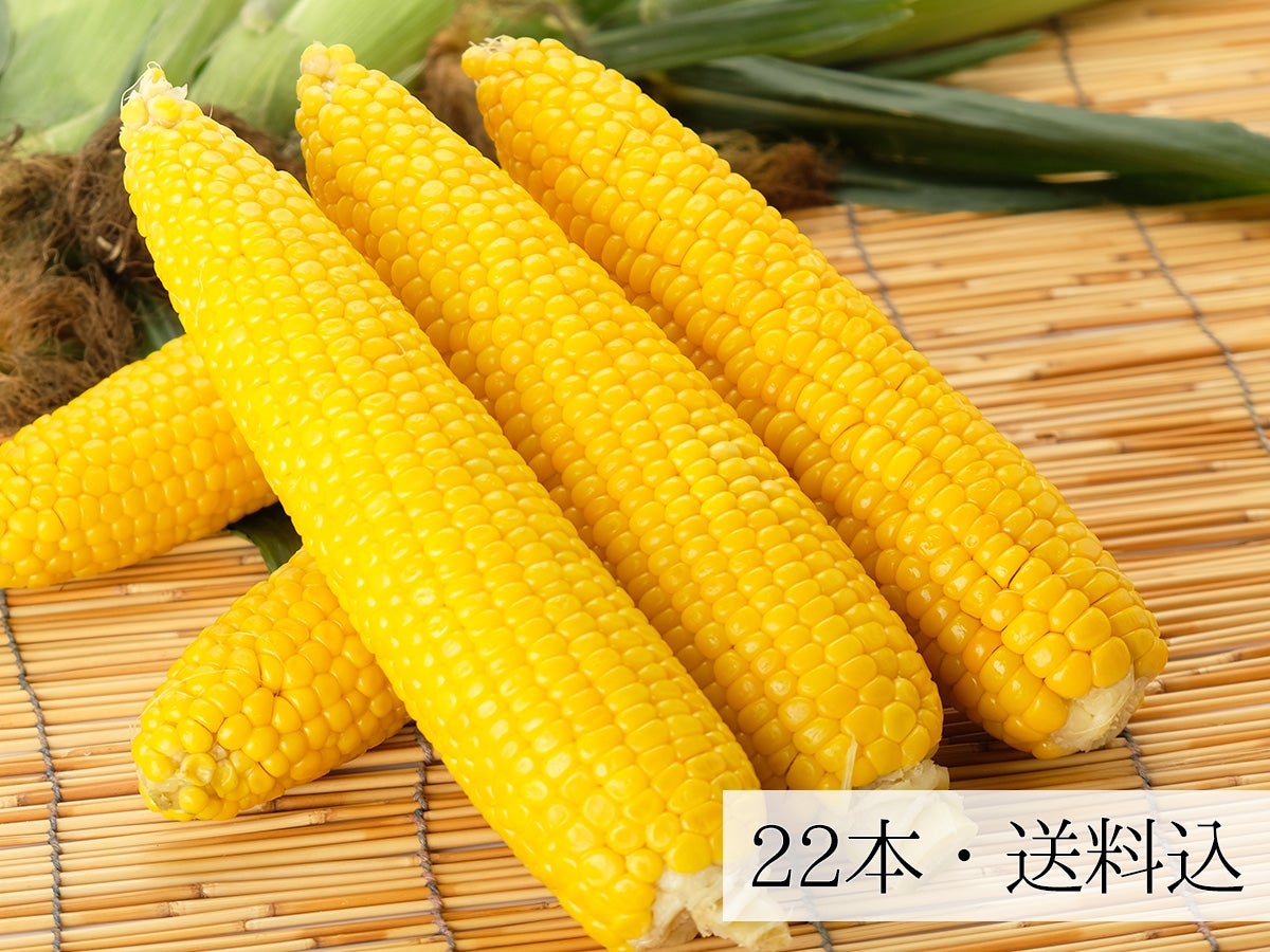 北海道中富良野産「ゴールドラッシュ」とうもろこし