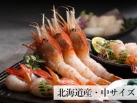 北海道産お刺身用牡丹海老中サイズ300g入